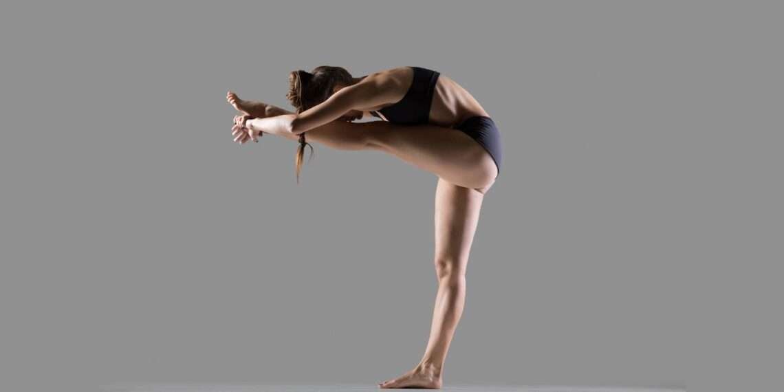 Standing Head to Knee Pose Dandayamana-Janushirasana