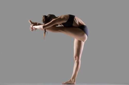 Standing Head to Knee Pose Dandayamana-Janushirasana