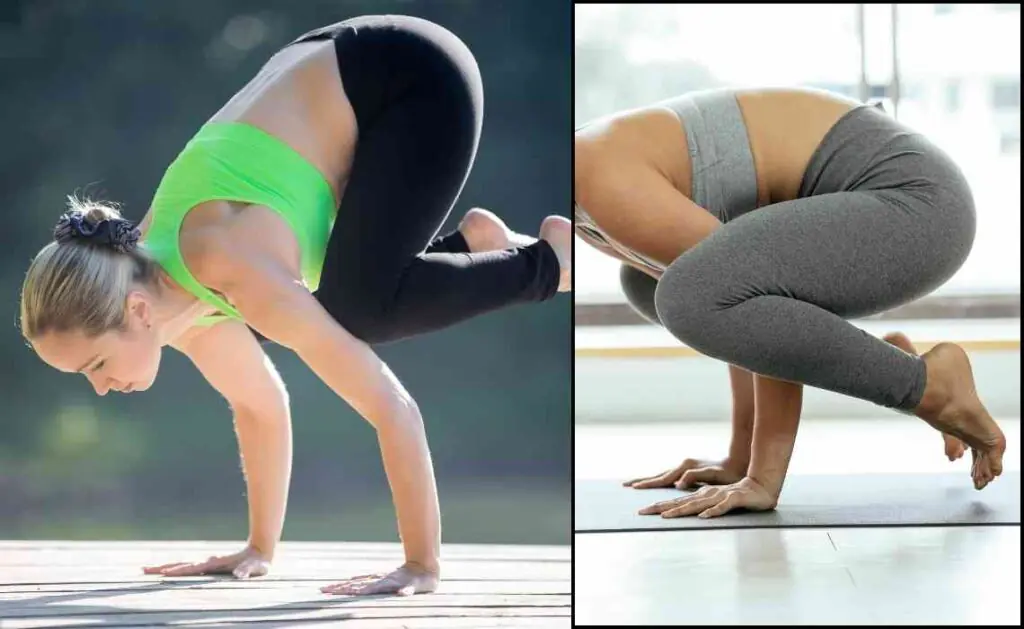 bakasana or crane pose