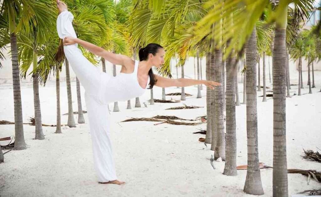 warrior pose II virabhadrasana warrior pose II virabhadrasana